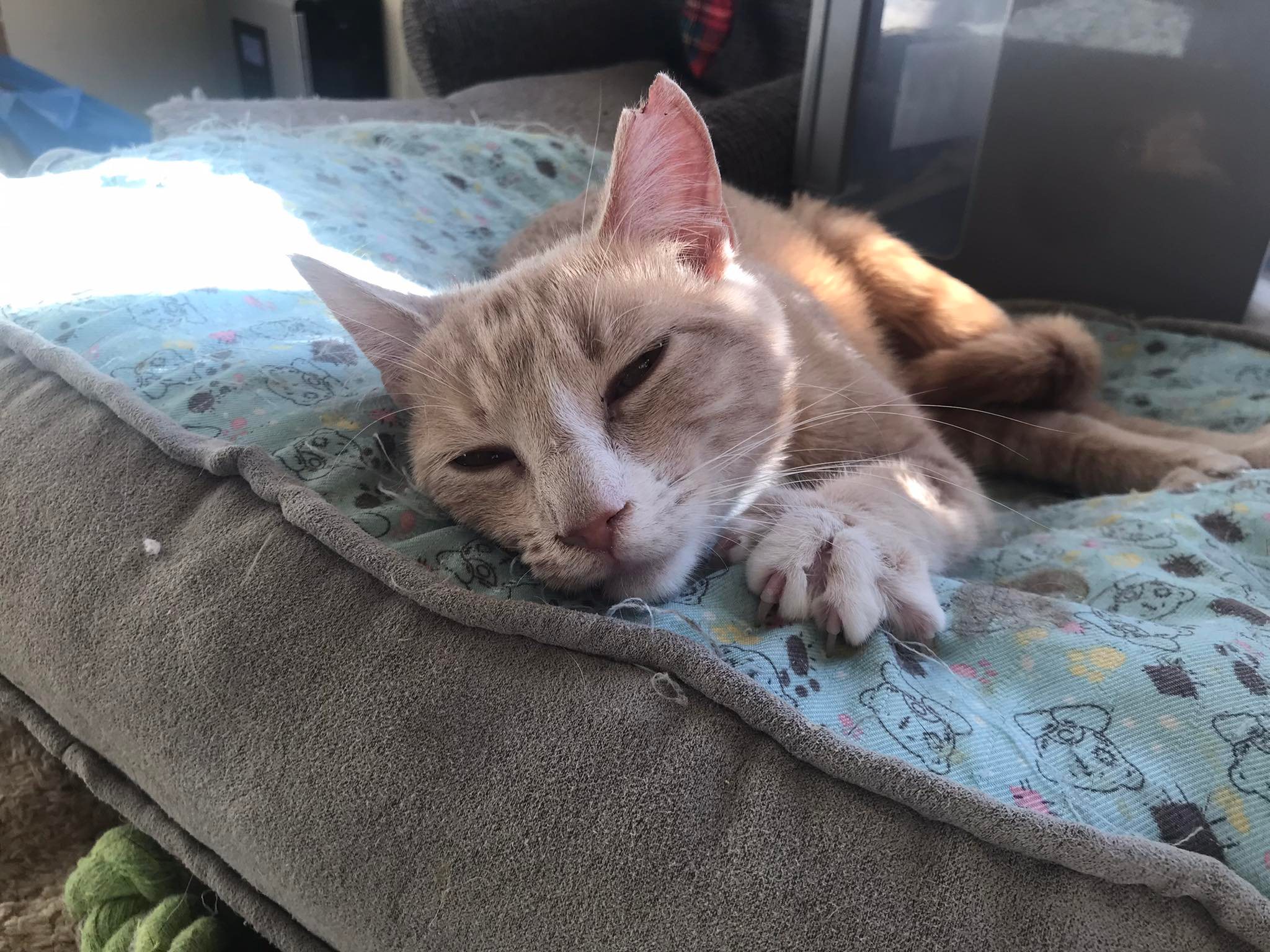 280280634_541046037420799_1519331651842150697_n