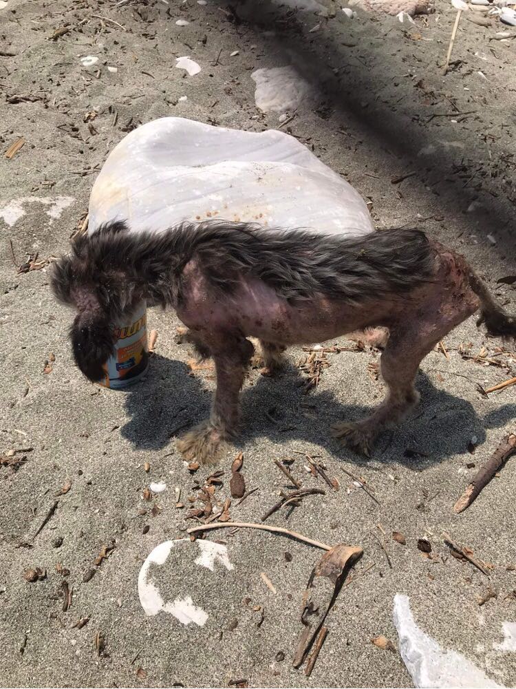 280967866_343927404475043_773875759134861007_n